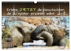 Bild 8 von 15