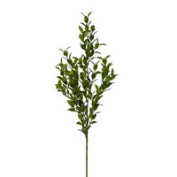 Artplants Kunst Zweig MäUsedorn Snerlo, GrüN, 70Cm