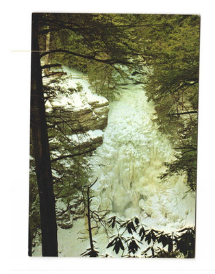 Bushkill Falls Niagara of Pennsylvania vintage postcard unposted