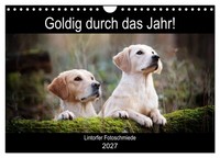 "Calendar 2027 · US Version · Golden Through The Year! (Wall Calendar 2027 12\" ×"