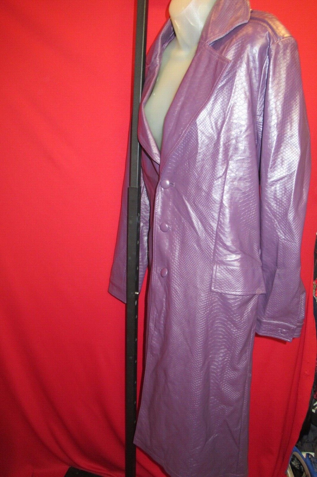 Picture 5 of 5