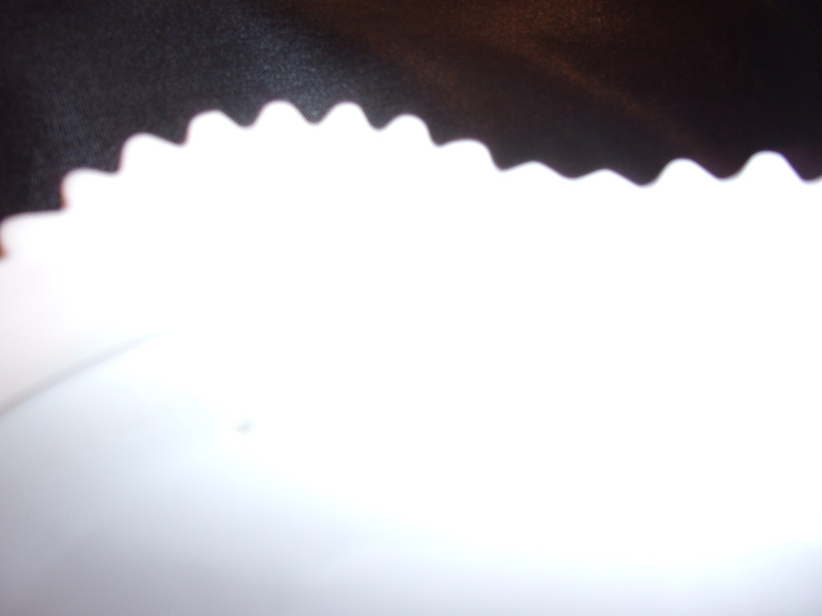 Picture 5 of 5