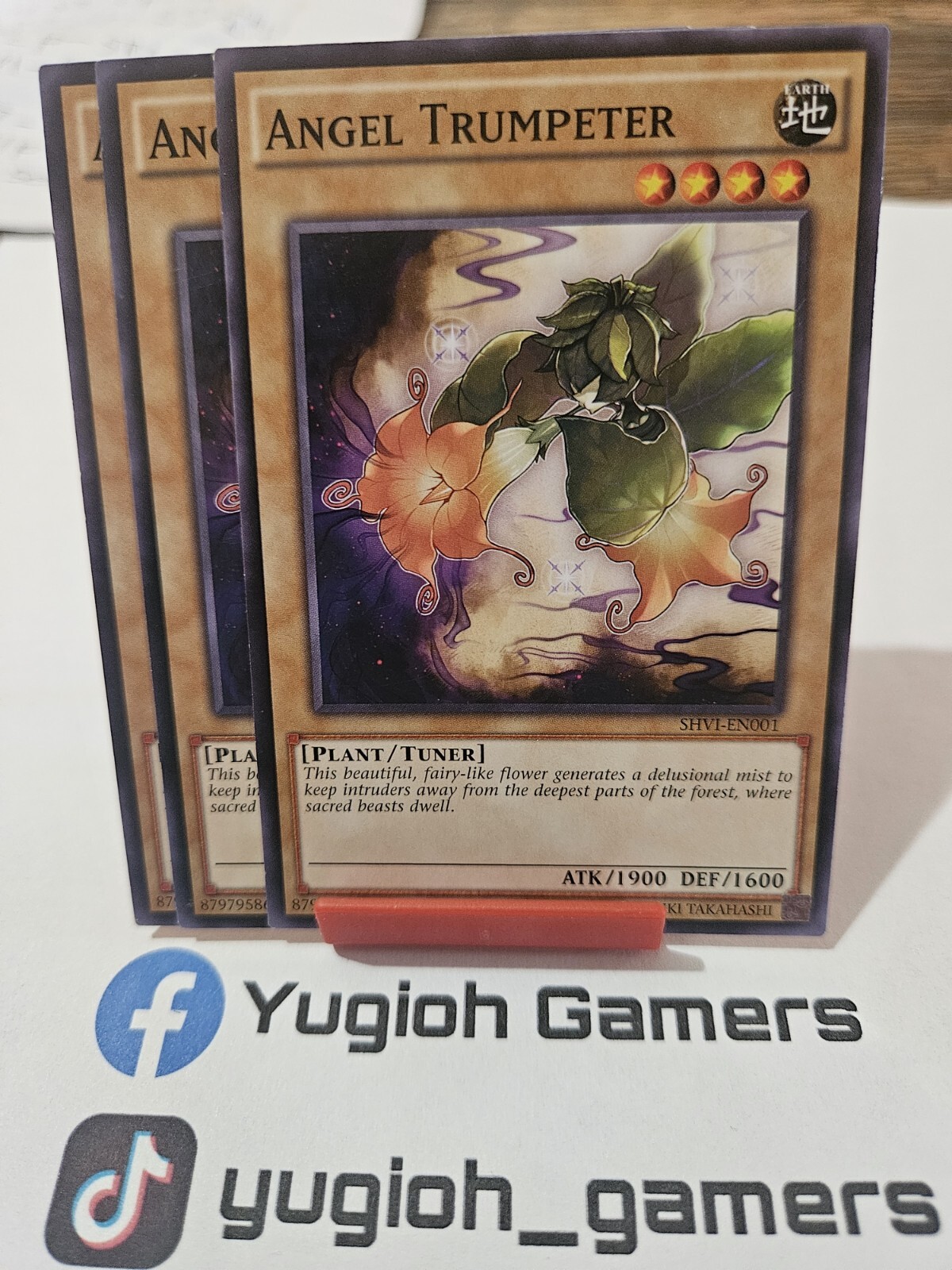 Picture 1 of 1