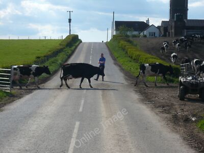 Photo 6x4 Rush Hour Port William/NX3343 Teatime Rush Hour ... Just outsi c2010