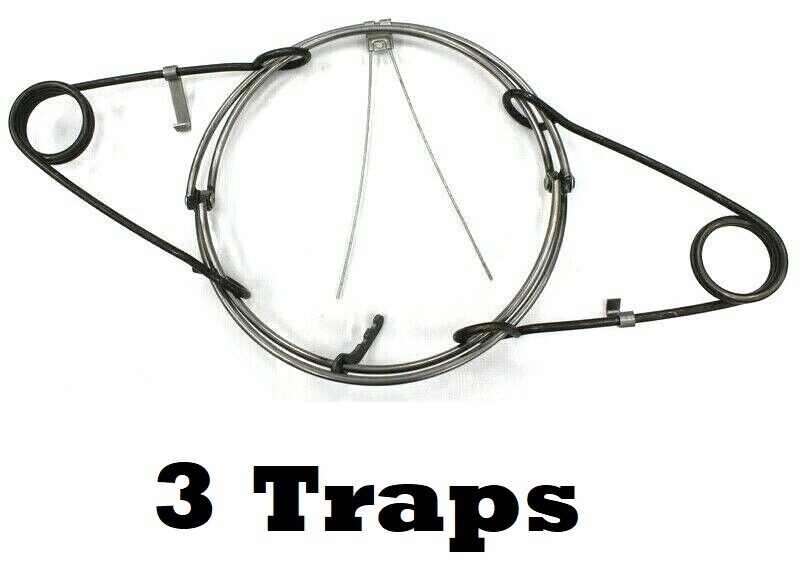 3 RBG #440 Round Body Grip Trap Bodygrip Trapping Supplies 3 Traps