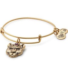 Alex and Ani Path Of Symbols Wild Heart Bangle