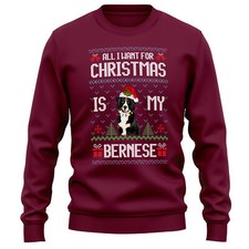 Adults Festive Bernese Sweatshirt Dog Owner Christmas Men and Women trees pre...