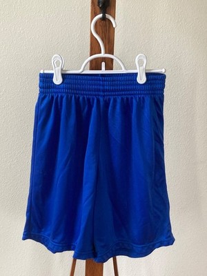 Micromesh Basketball Shorts (Adult Small - Royal Blue) Eagle USA Sportswear