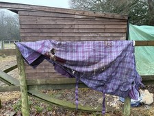 Weatherbeeta Landa Standard Neck Medium Turnout 6ft 6?