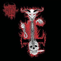 Immortal Death Sex - Immortal Death - Cd - G3Z