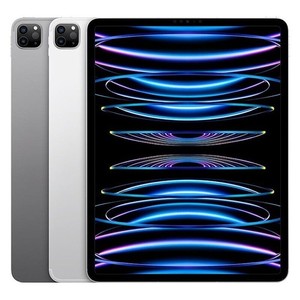 iPad Pro M2 256GB | eBay