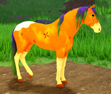 Wild Horse Islands Roblox Witch Fade Pumpkin Pie Andalusian Naturally Dyed