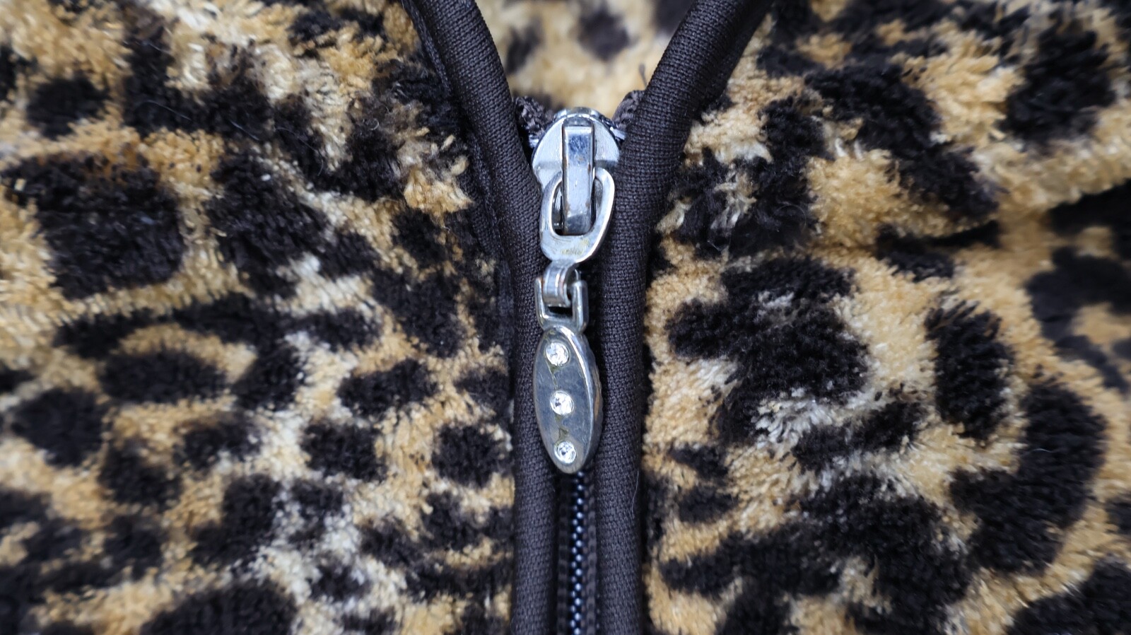 Picture 3 of 16