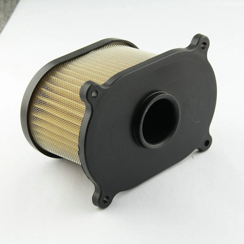 Elemento filtro aire para Hyosung GT250R GT650R GV650 GT650 GT250 Foto 3 de 4
