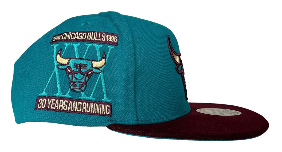Mitchell & Ness Chicago Bulls Teal & Maroon Team Logo