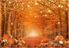 7 x 5 FT Fall Photography Backdrop Thanksgiving Party Supplies Autumn Pumpkin Fr