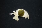 Vintage Batman Lapel Pin — photo 2