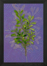 Purple Vintage Bog Myrtle Framed Wall Art Poster Canvas Print Picture