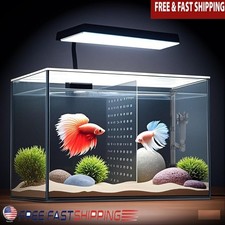 3 Gallon Nano Glass Betta Fish Tank W/ LED Lights Hanging Filter Dividers New