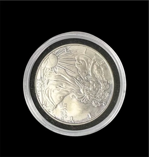 2005 DATED .999 FINE SILVER EAGLE WALKING LIBERTY DOLLAR BULLION ROUND COIN BU