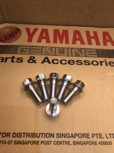 RD350 RZ350 RD250 F1 F2 YPVS 48H 29L 31K CALLIPER BOLT SET PAIR - Picture 2 of 3