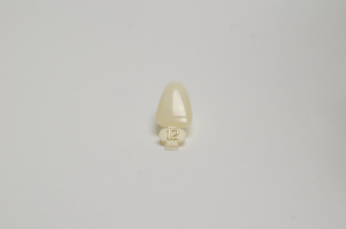 DENTAL POLYCARBONATE TEMPORARY CROWNS 12 (URC) UPPER RIGHT CENTRAL 5