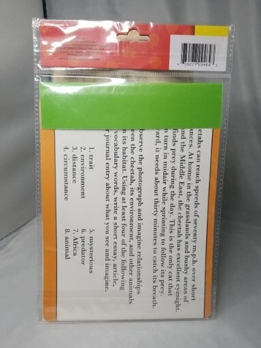 Teaching Tree Vocabulary Writing Prompts Grades 4-6 Pack Of 8 Creativity - Picture 4 of 7