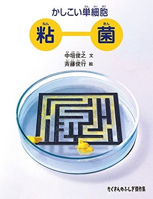 Smart Single-Celled Slime Mold Science Book Nature Study Japanese