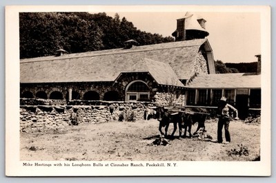Mike Hasting Bulls Cinnabar Ranch Peekskill New York NY c1940 Real Photo RPPC