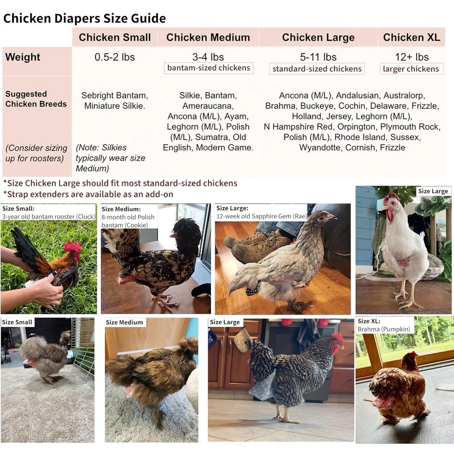 Pañal de pollo para gallinas, gallo (talla grande) - reutilizable, ajustable, impermeable Foto 4 de 4