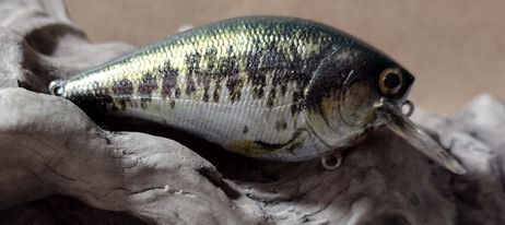 EZ's CUSTOM WRAPPED 2.5 SQUARE BILL CRANKBAITS - Picture 44 of 49