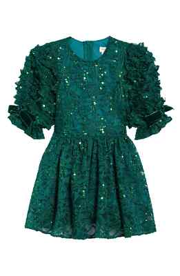 Girl's David Charles Sparkle Lace Dress, Size 4Y - Green