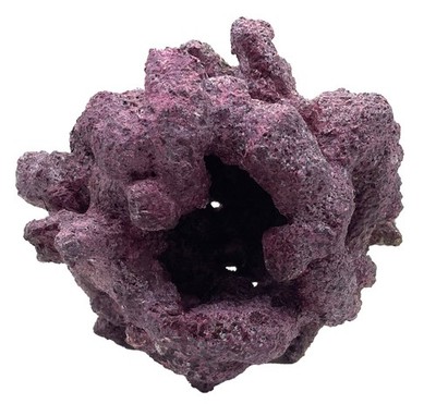 Tropic Eden Morroca Reef Cradle Rock - Medium ONE Piece (3.5 - 4lbs)