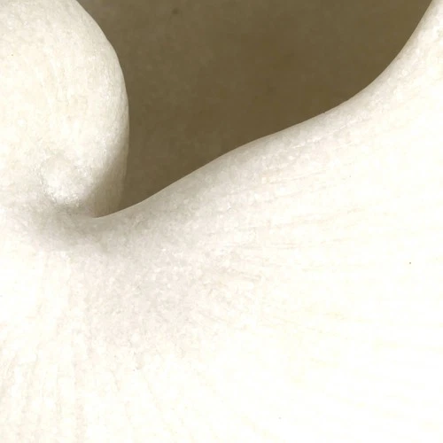 Uttermost Nautilus Shell 11" Wide Granular Stone Sculpture - Picture 4 of 4