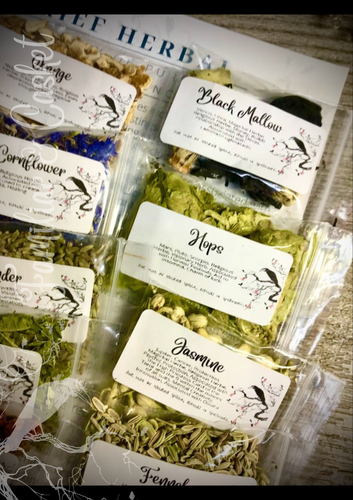 20 Herb Set Starter Kit + Guide Baby Witch Spell Supply Wicca Altar Ritual Gift - Picture 11 of 12