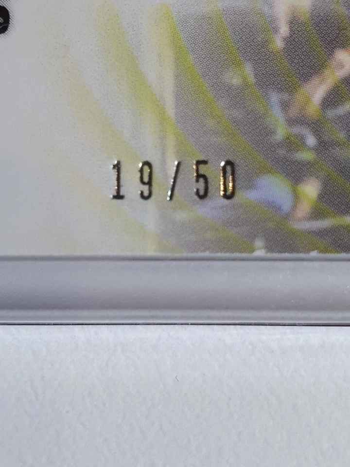 2019 Panini Trae Young #PATCH /50 Player Worn 2 Color Jersey - Ready to Grade - Image 3 of 4