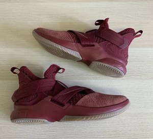 lebron soldier 12 size 9.5