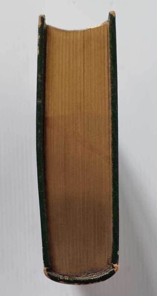 Foto 5 di 12