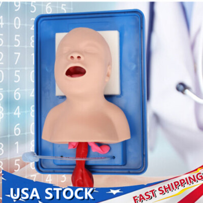 Lab Airway Intubation Manikin Study Infant Model Management Trainer Aid PVC HOT!