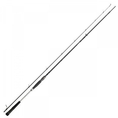 Daiwa Meerforellenrute Morethan AGS Seatrout 282 310