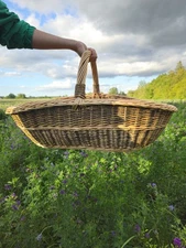 Extra-large Wicker Basket | Two-Tone Willow Trug for Foraging & Flower Gathering