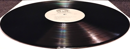 A VERY SPECIAL STASH - THE BEST OF REEFER SONGS (RARE VINYL / ONLY RL-1981) - Picture 8 of 9