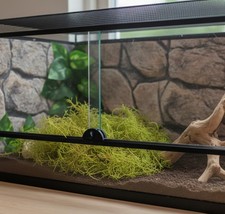 Live Organic Sphagnum Moss - Terrarium Vivarium - Frogs Snakes Snails - 1L