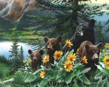 Basking in the Balsams by Kevin Daniel Wildlife Bear Fine Art Print Poster 16x20