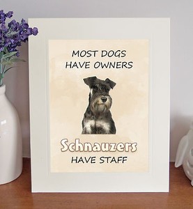 Schnauzer dog gift Vase