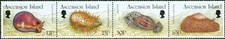 ASCENSION ISLAND -1985- MOLLUSKS STRIP OF 4-VF**
