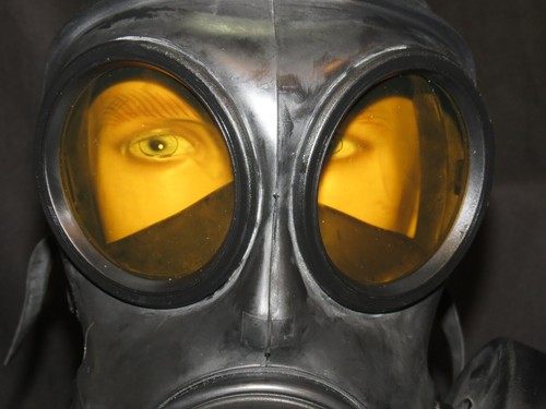 S10 Gasmaske Einzelfilter Orange Tönung 2mm Polycarbonat Gläser. Größe 2 - Bild 5 von 10