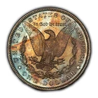 1883-O $1 Morgan Silver Dollar - Colorful End Roll Pattern Toning - D5650
