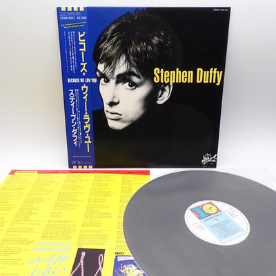 Stephen Duffy    Because We Love You Japan LP OBI VINYL 10 Records    25VB-1087