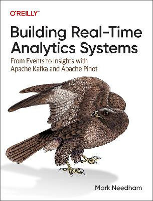 Aufbau von Echtzeit-Analysesystemen - 9781098138790